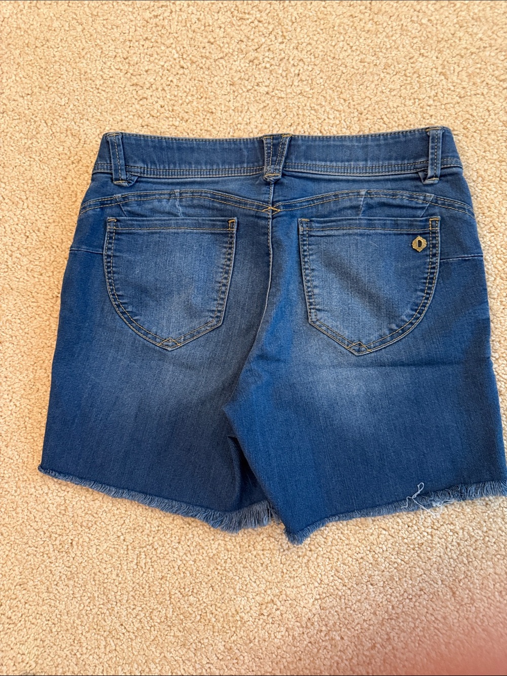 Democracy Blue Denim Embroidered Frayed Hem Shorts - Picture 2 of 2